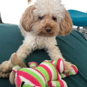 Meet your Posher, Foxy’sMom